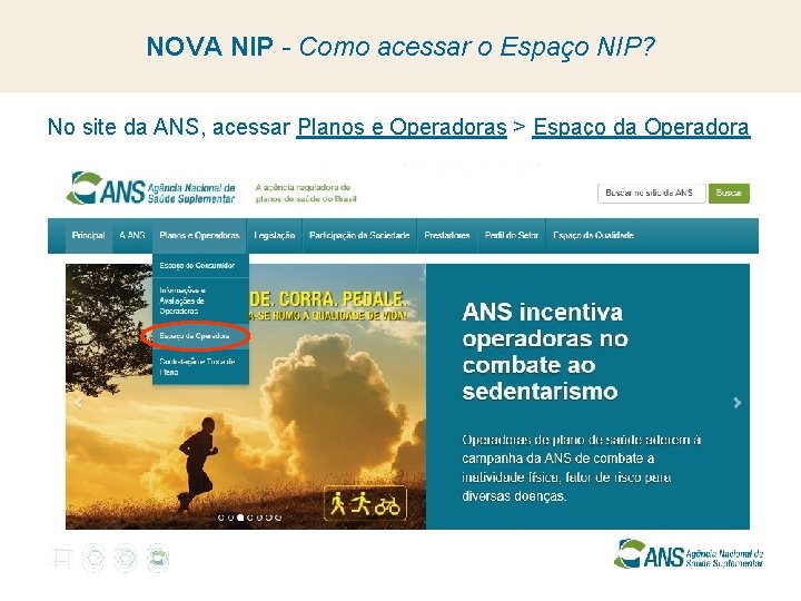 NOVA NIP - Como acessar o Espaço NIP? No site da ANS, acessar Planos