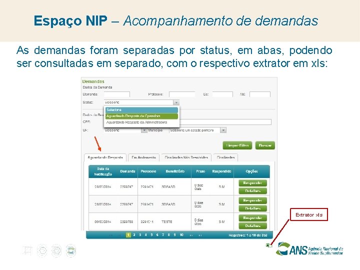 Espaço NIP – Acompanhamento de demandas As demandas foram separadas por status, em abas,