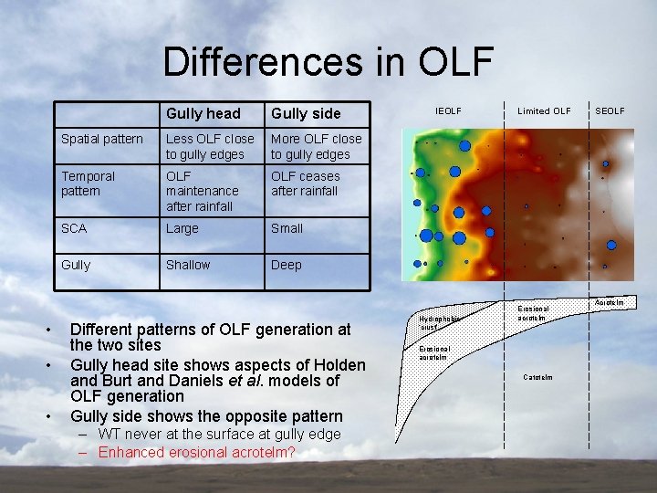 Differences in OLF • • • Gully head Gully side Spatial pattern Less OLF