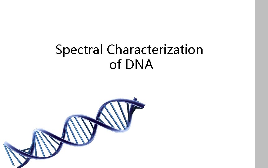 Spectral Characterization of DNA 