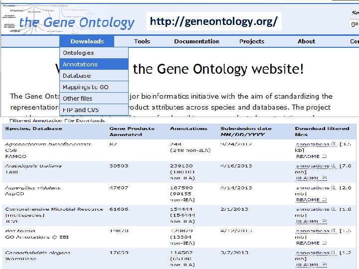 http: //geneontology. org/ 