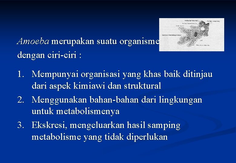 Amoeba merupakan suatu organisme, dengan ciri-ciri : 1. Mempunyai organisasi yang khas baik ditinjau