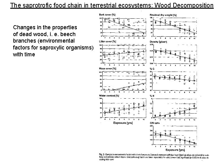 The saprotrofic food chain in terrestrial ecosystems: Wood Decomposition Changes in the properties of