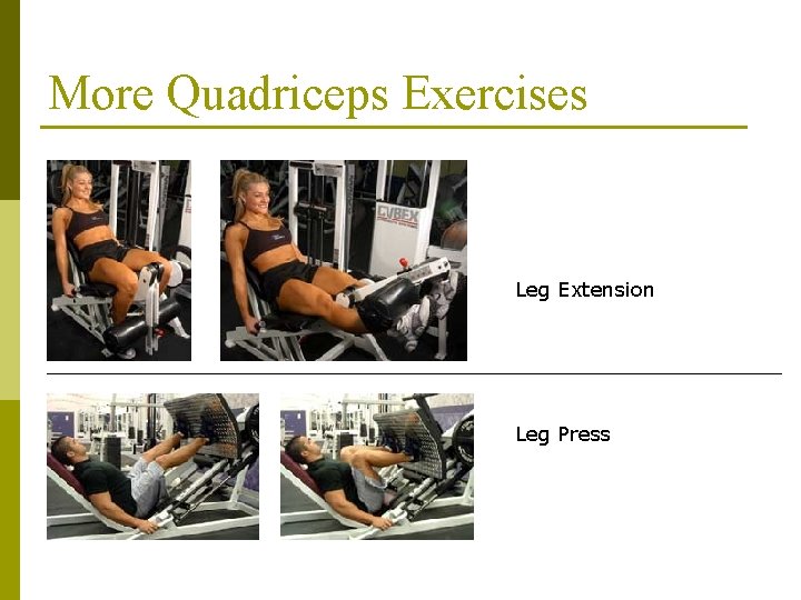 More Quadriceps Exercises Leg Extension Leg Press 
