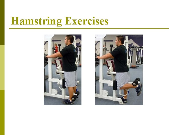 Hamstring Exercises 
