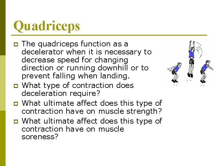 Quadriceps p p The quadriceps function as a decelerator when it is necessary to