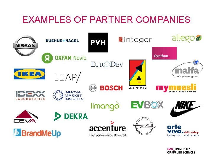 EXAMPLES OF PARTNER COMPANIES 