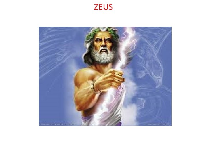 ZEUS 