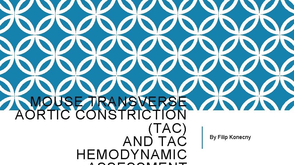 MOUSE TRANSVERSE AORTIC CONSTRICTION (TAC) AND TAC HEMODYNAMIC By Filip Konecny 