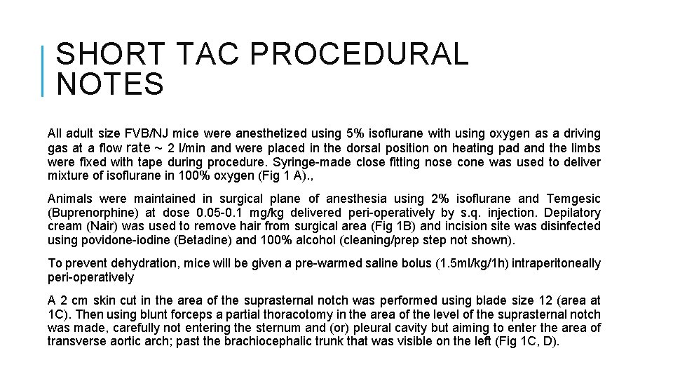 SHORT TAC PROCEDURAL NOTES All adult size FVB/NJ mice were anesthetized using 5% isoflurane
