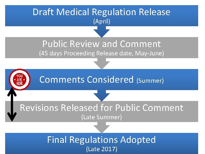 Draft Medical Regulation Release (April) Public Review and Comment (45 days Proceeding Release date,