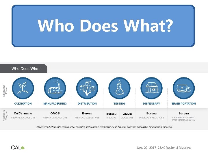 Who Does What? June 29, 2017 CSAC Regional Meeting 