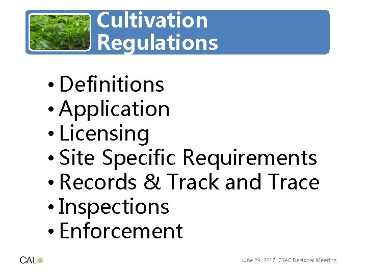 Cultivation Regulations • Definitions • Application • Licensing • Site Specific Requirements • Records