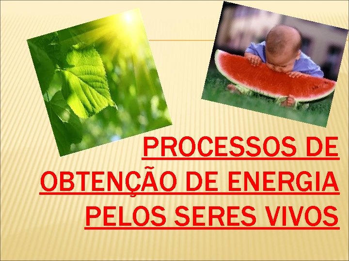 PROCESSOS DE OBTENÇÃO DE ENERGIA PELOS SERES VIVOS 