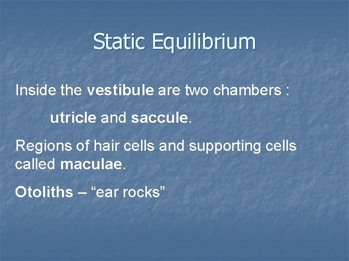 Static Equilibrium Inside the vestibule are two chambers : utricle and saccule. Regions of