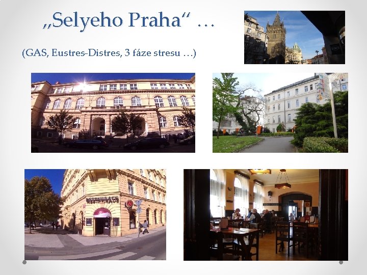 „Selyeho Praha“ … (GAS, Eustres-Distres, 3 fáze stresu …) 