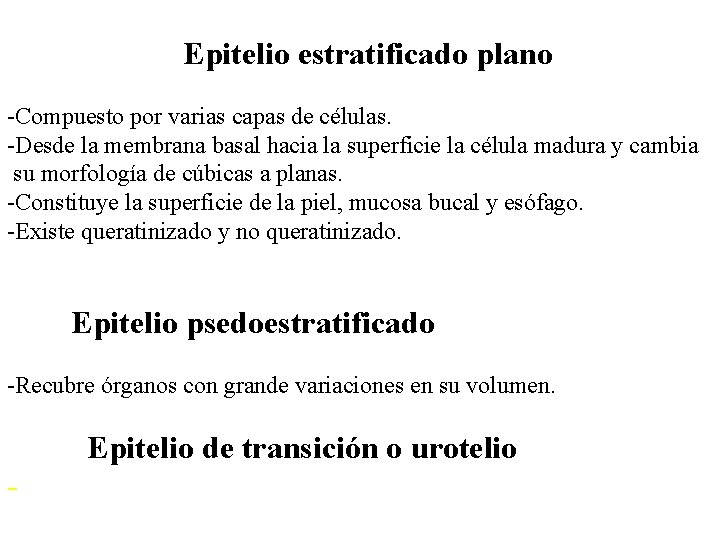 Epitelio estratificado plano -Compuesto por varias capas de células. -Desde la membrana basal hacia