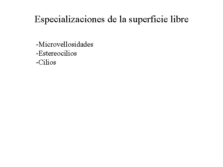 Especializaciones de la superficie libre -Microvellosidades -Estereocilios -Cilios 