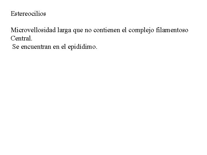 Estereocilios Microvellosidad larga que no contienen el complejo filamentoso Central. Se encuentran en el