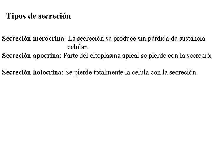 Tipos de secreción Secreción merocrina: La secreción se produce sin pérdida de sustancia celular.
