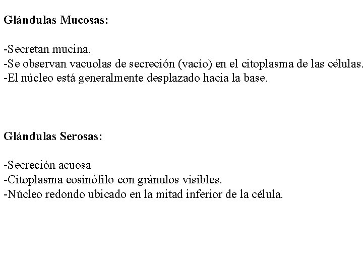 Glándulas Mucosas: -Secretan mucina. -Se observan vacuolas de secreción (vacío) en el citoplasma de