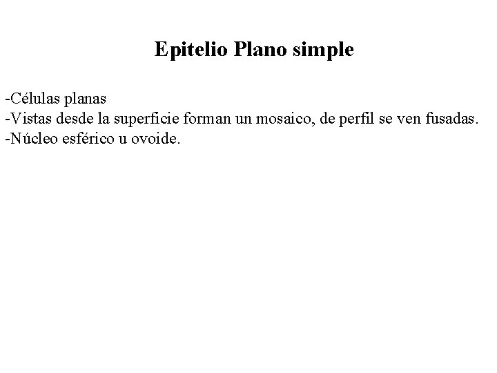 Epitelio Plano simple -Células planas -Vistas desde la superficie forman un mosaico, de perfil