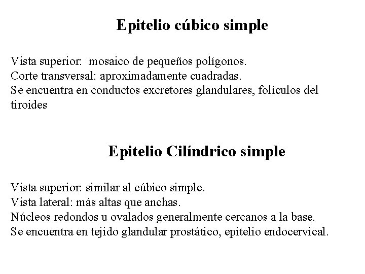 Epitelio cúbico simple Vista superior: mosaico de pequeños polígonos. Corte transversal: aproximadamente cuadradas. Se