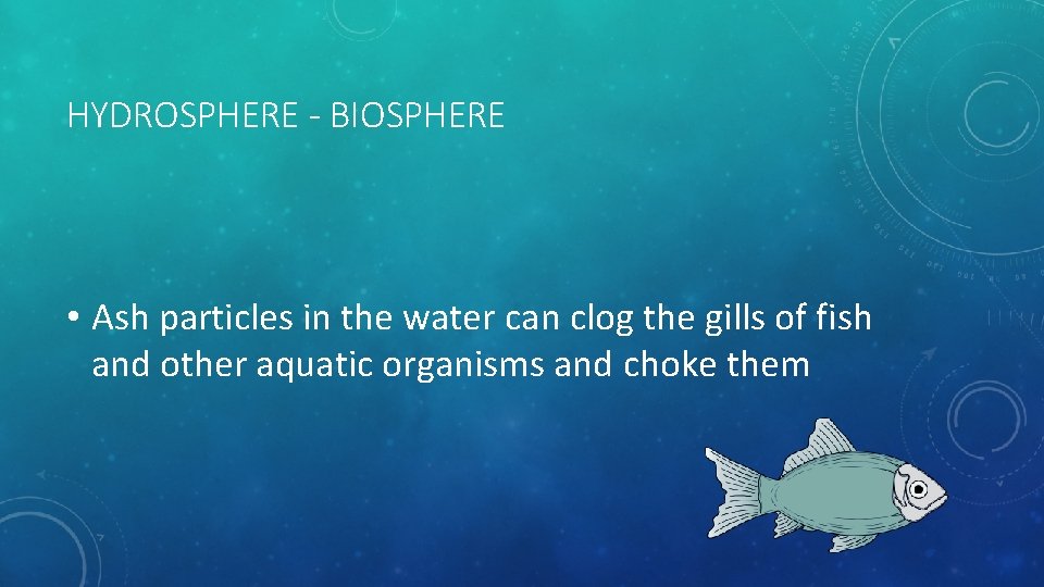 HYDROSPHERE - BIOSPHERE • Ash particles in the water can clog the gills of