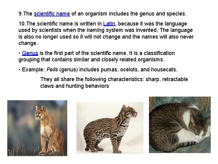 9. The scientific name of an organism includes the genus and species. 10. The 9. The scientific name of an organism includes the genus and species. 10. The