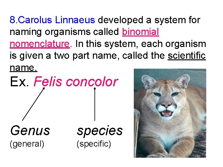 8. Carolus Linnaeus developed a system for naming organisms called binomial nomenclature. In this 8. Carolus Linnaeus developed a system for naming organisms called binomial nomenclature. In this