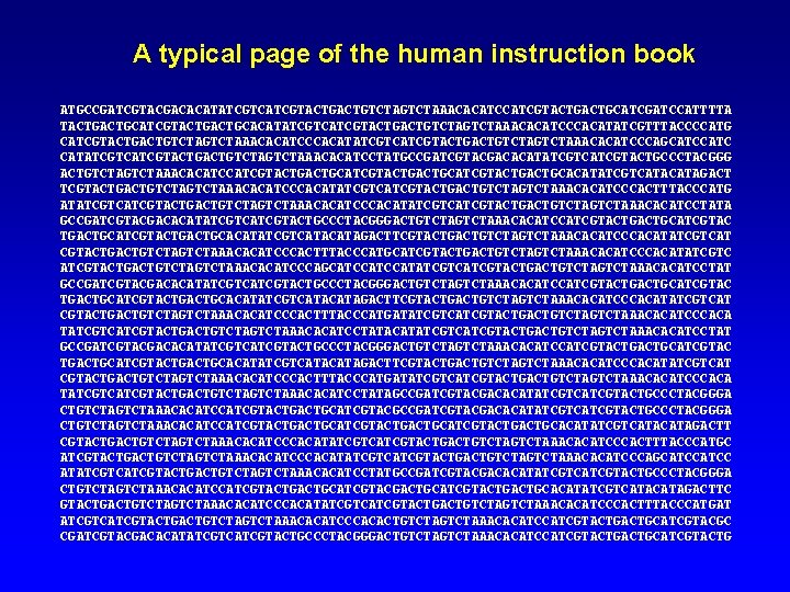 A typical page of the human instruction book ATGCCGATCGTACGACACATATCGTCATCGTACTGTCTAGTCTAAACACATCGTACTGCATCGATCCATTTTA TACTGCATCGTACTGCACATATCGTCATCGTACTGTCTAGTCTAAACACATCCCACATATCGTTTACCCCATG CATCGTACTGTCTAGTCTAAACACATCCCACATATCGTCATCGTACTGTCTAGTCTAAACACATCCCAGCATC CATATCGTCATCGTACTGTCTAGTCTAAACACATCCTATGCCGATCGTACGACACATATCGTCATCGTACTGCCCTACGGG ACTGTCTAAACACATCGTACTGACTGCATCGTACTGCACATATCGTCATAGACT TCGTACTGTCTAGTCTAAACACATCCCACATATCGTCATCGTACTGTCTAGTCTAAACACATCCCACTTTACCCATG