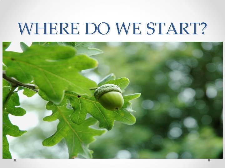 WHERE DO WE START? WHERE DO WE START?