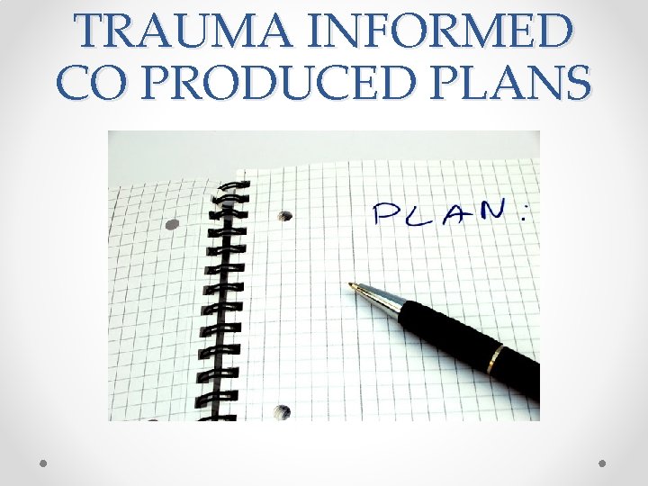 TRAUMA INFORMED CO PRODUCED PLANS TRAUMA INFORMED CO PRODUCED PLANS