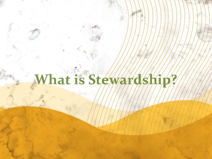 What is Stewardship? 
