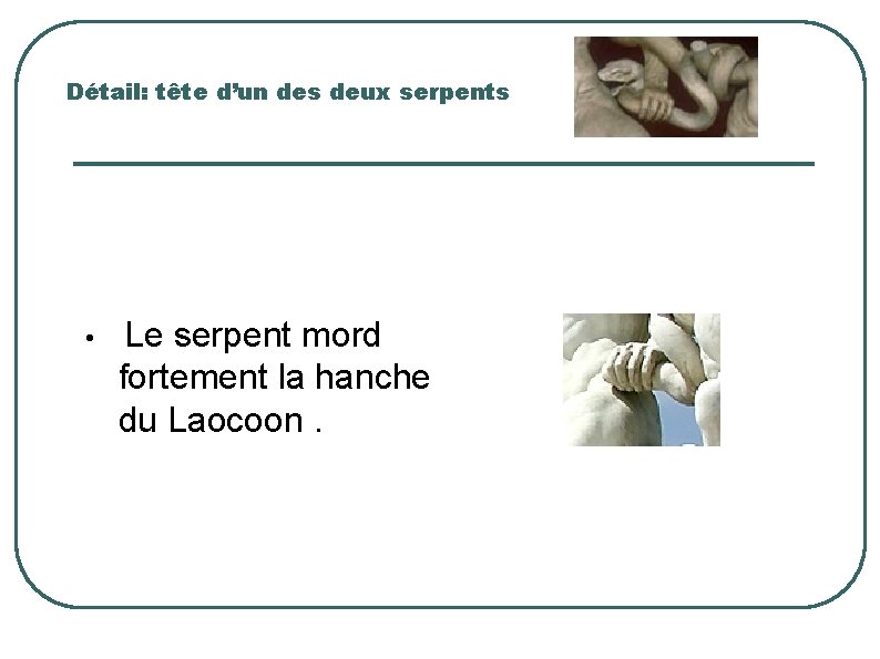 Détail: tête d’un des deux serpents • Le serpent mord fortement la hanche du