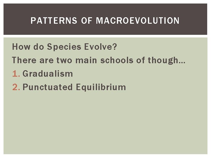PATTERNS OF MACROEVOLUTION How do Species Evolve? There are two main schools of though…