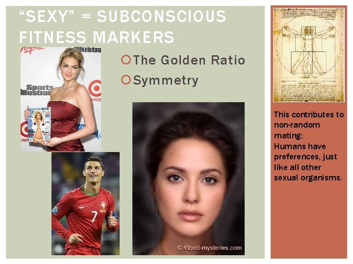 “SEXY” = SUBCONSCIOUS FITNESS MARKERS The Golden Ratio Symmetry This contributes to non-random mating: