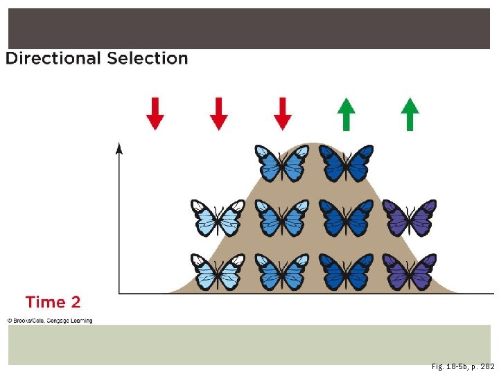 Fig. 18 -5 b, p. 282 