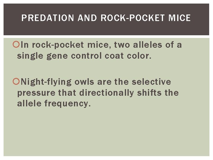 PREDATION AND ROCK-POCKET MICE In rock-pocket mice, two alleles of a single gene control