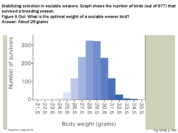Stabilizing selection in sociable weavers. Graph shows the number of birds (out of 977)