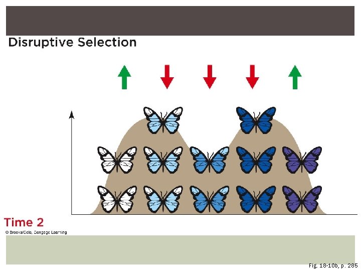 Fig. 18 -10 b, p. 285 