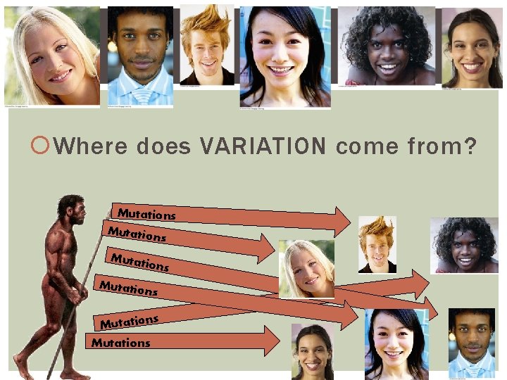  Where does VARIATION come from? Mutations Mutation s Mutati ons Mutation s s