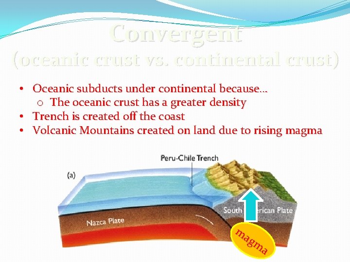 Convergent (oceanic crust vs. continental crust) • Oceanic subducts under continental because… o The