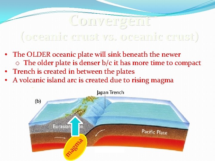 Convergent (oceanic crust vs. oceanic crust) m ag m a • The OLDER oceanic