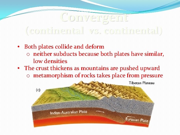 Convergent (continental vs. continental) • Both plates collide and deform o neither subducts because