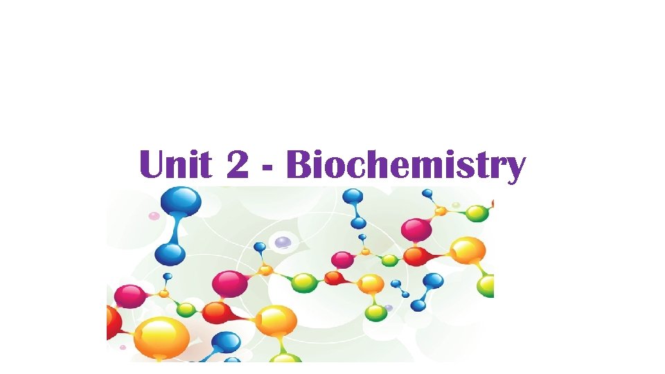 Unit 2 - Biochemistry 