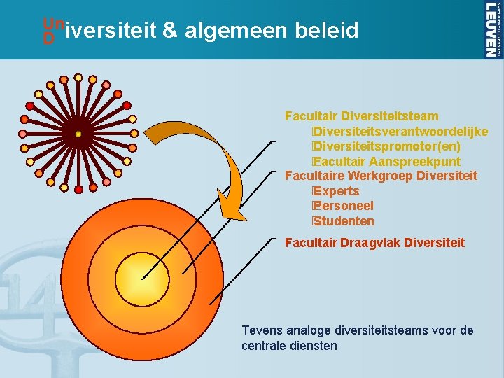 Un D iversiteit & algemeen beleid Facultair Diversiteitsteam � Diversiteitsverantwoordelijke � Diversiteitspromotor(en) � Facultair