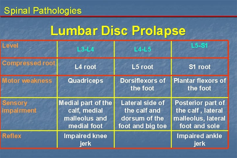Spinal Pathologies Lumbar Disc Prolapse Level Compressed root Motor weakness Sensory impairment Reflex L