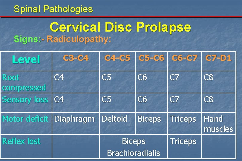 Spinal Pathologies Cervical Disc Prolapse Signs: - Radiculopathy: Level C 3 -C 4 Root