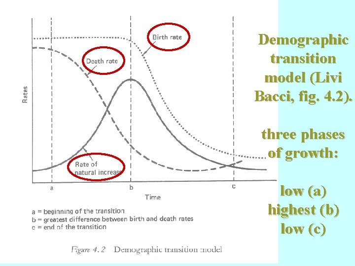 Demographic transition model (Livi Bacci, fig. 4. 2). three phases of growth: low (a) Demographic transition model (Livi Bacci, fig. 4. 2). three phases of growth: low (a)